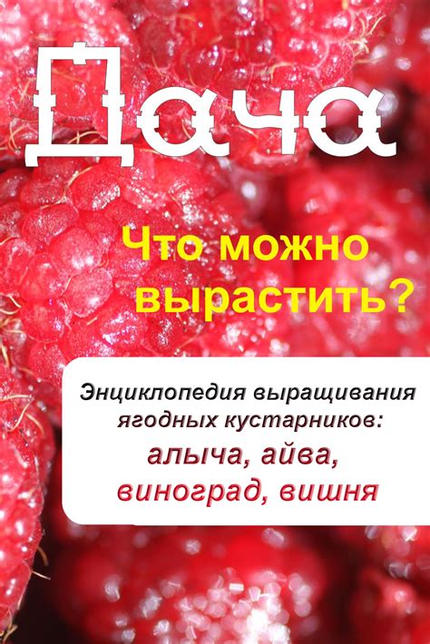 Функции и структура: что делает листья ягодных кустарников особенными?