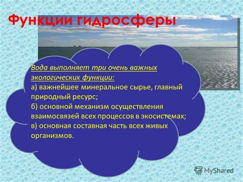 Функции морской воды в экосистемах