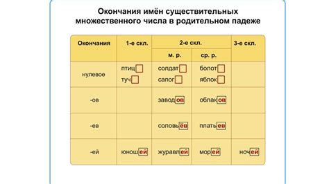 Функции мотивированных имен прилагательных