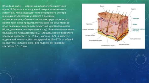 Функции покрова тепло