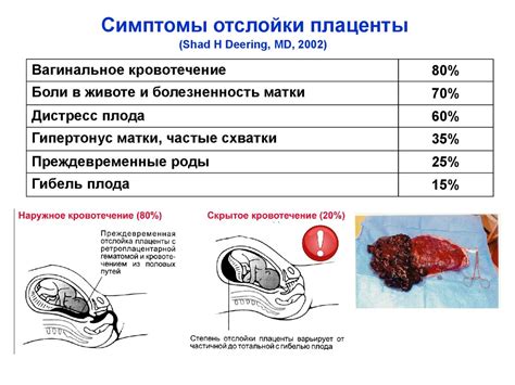 Функции родовой пробки