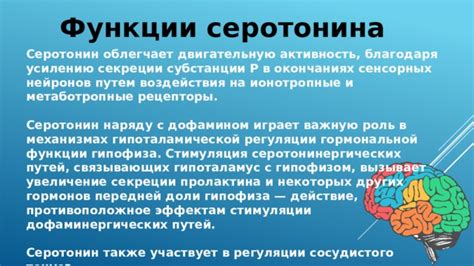 Функции серотонина