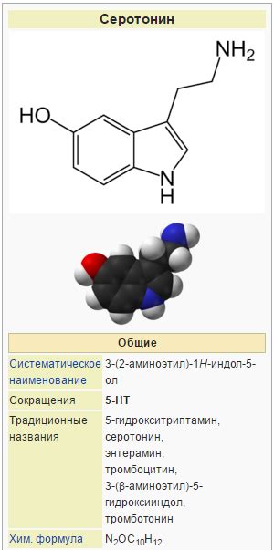 Функции серотонина в организме человека