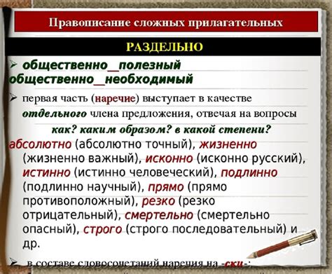 Функции сложных имен прилагательных в русском языке