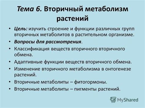 Функции цельных листьев в растительном организме