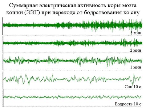 Функции эмоций во время сна