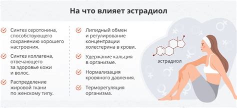 Функции эстрадиола в организме