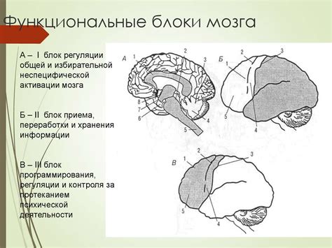 Функциональное значение казенной шапки