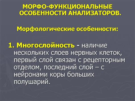 Функциональные особенности фужеров