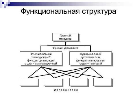 Функциональный отдел организации: структура и функции