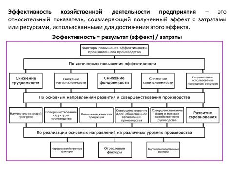 Функция и эффективность деятельности