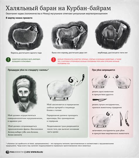 Халяльный баран: основные понятия