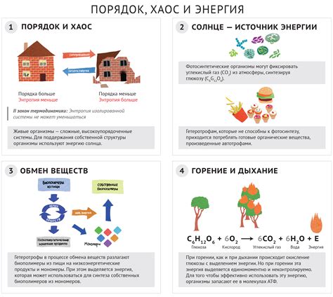 Хаос и его смысл