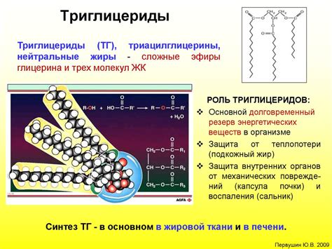 Характеристики липидных гопников