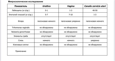 Характеристики палочек в цервикальном канале и связанных с ними симптомов