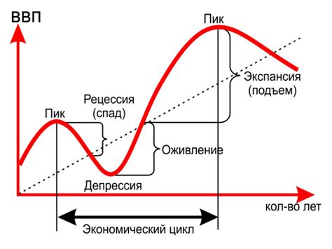 Характер и длительность цикла