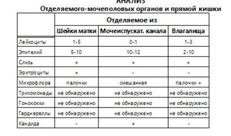 Характер слизи гомогенная анализ мазка