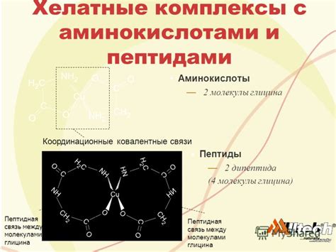 Хелатные комплексы в химическом синтезе