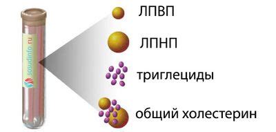 Хилезная кровь у человека: причины, симптомы и лечение