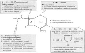 Химическая структура и классификация цефалоспоринов