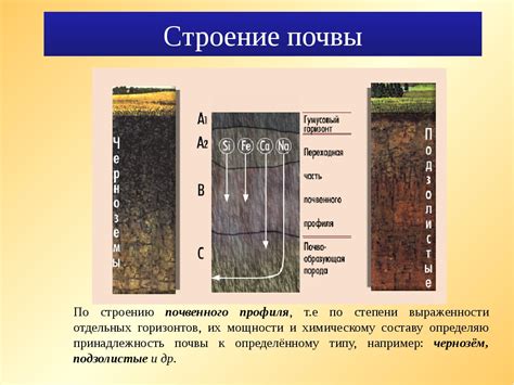 Химический состав выщелоченного чернозема