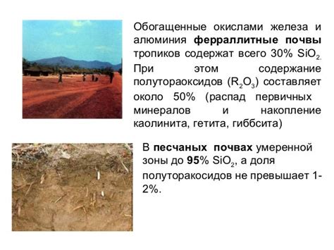 Химический состав нейтральной почвы