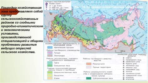 Хозяйственная зона: особенности организации и планирования