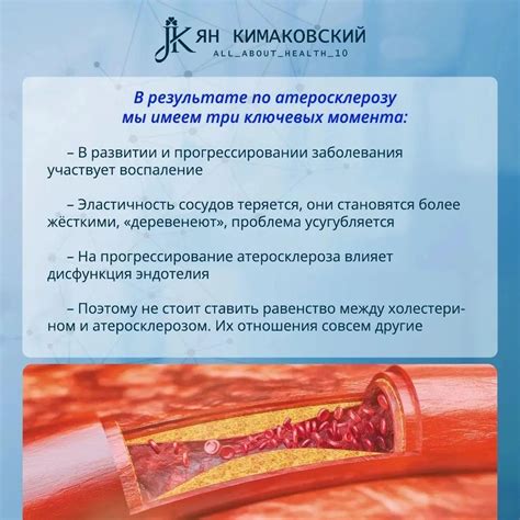 Холестерин и атеросклероз: взаимосвязь и влияние на сердечно-сосудистую систему