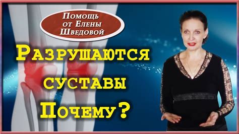 Хондронутриенты: влияние на здоровье суставов