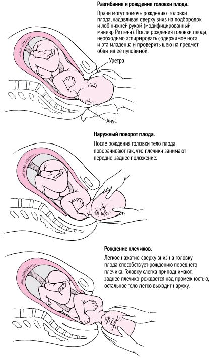 Хронология процесса консервативного ведения родов