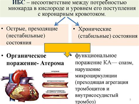 ЦДК и его связь с трофобластическим кровотоком