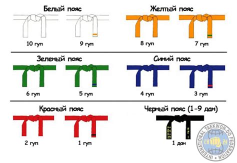 Цвета тхэквондо поясов и их значения