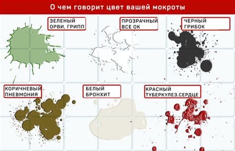 Цвет слизи: как его сигналы помогают понять состояние здоровья