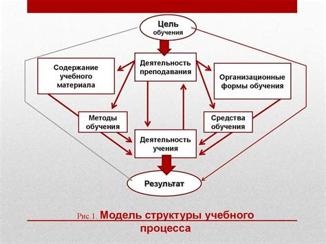 Цели и задачи учебного процесса