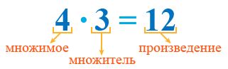 Целый множитель в математике: понятие и свойства