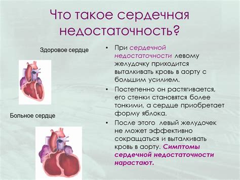 Централизация кровообращения: что это и каковы ее последствия?