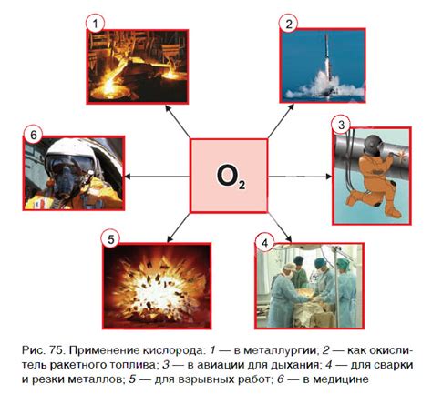 Центральный кислород и спорт