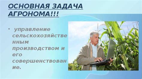 ЧПХ: роль аббревиатуры в сельском хозяйстве