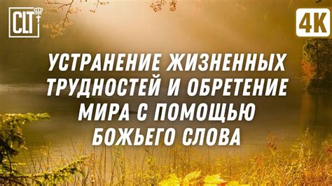 Чада Божьего - символ природы и энергии