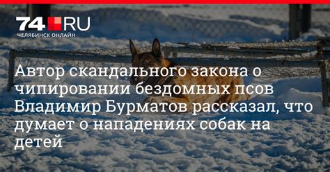 Часто задаваемые вопросы о пероральном применении у собак