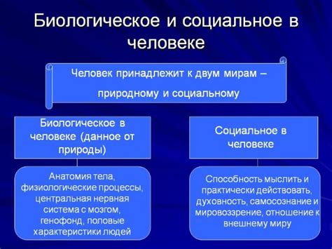 Человек: сущность и характеристика