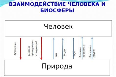 Человек в жизни другого: влияние и взаимодействие