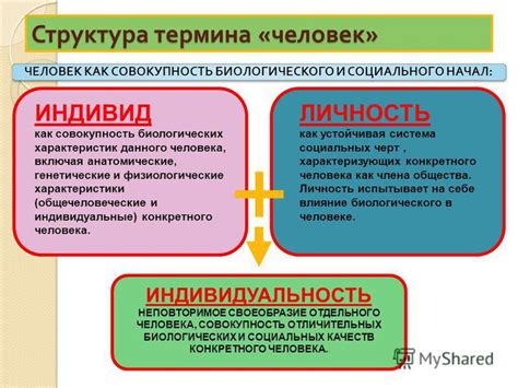 Человек гамма: особенности, характеристики и значения