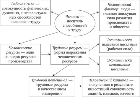 Человек и его границы: разнообразие и важность