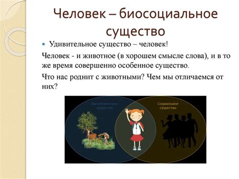 Человек как биосоциальное существо: важность понимания сущности