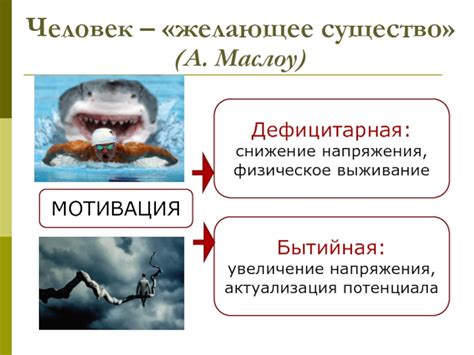 Человек – желающее существо