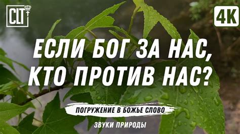 Человек - господь помощник: почему нужно доверять и воспользоваться поддержкой окружающих