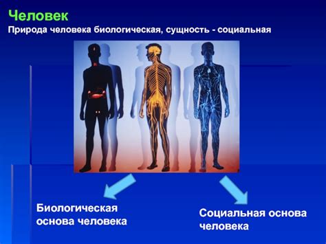 Чем определяются биологические качества человека?