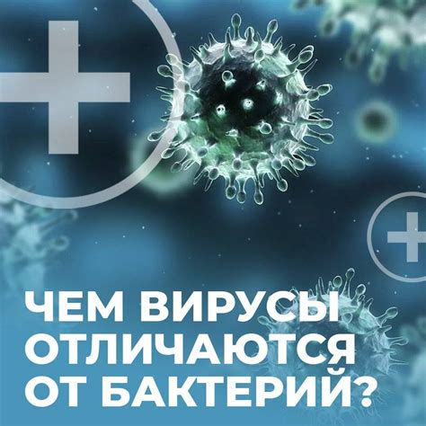 Чем отличается вирус от инфекции?