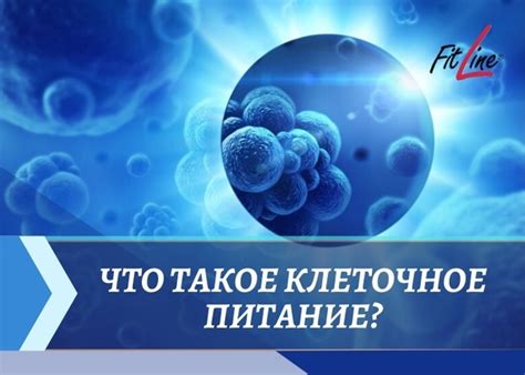 Чем отличается питание падалью от других типов питания?